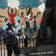 Illustration for article titled The Sad Connection Between Slavery and Police Presence in Schools